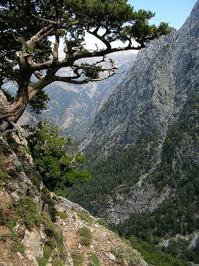 Samaria Gorge view