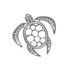 Sea turtle icon