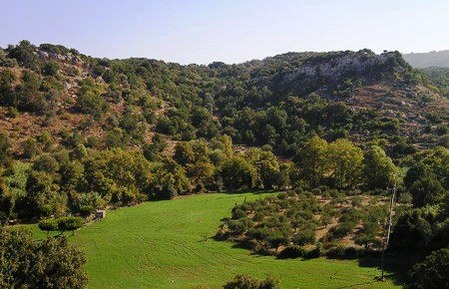 Villa Stratos, view over the countryside rolling hills with olive groves