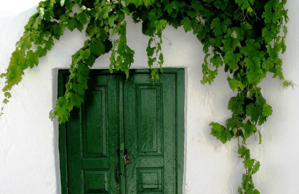 Mykonos - Perfect symmetry in Matogianni - a green door against bright white walls and fresh green grapevines