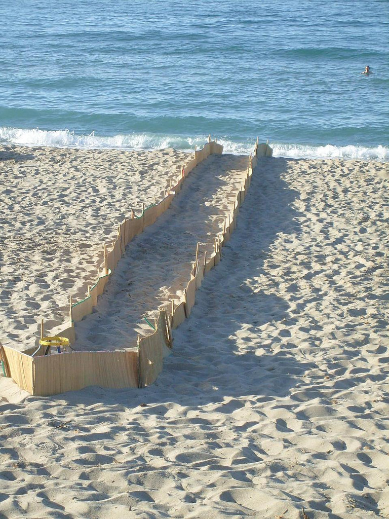 Sea Turtle nest protection on Rethymnon Beach