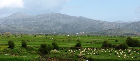 Lasithi plateau, Crete