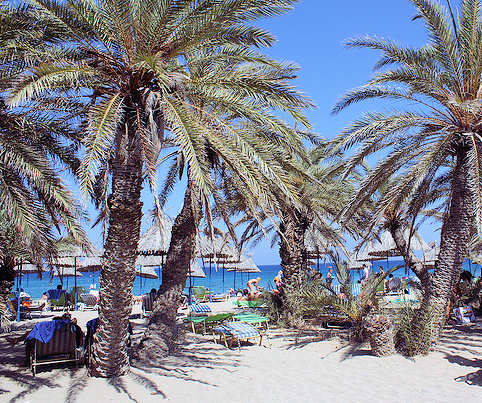 Vai Beach has full grown palms and crystal clear water