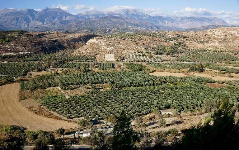 Phaistos looks towards the Psiloritis Mountain range