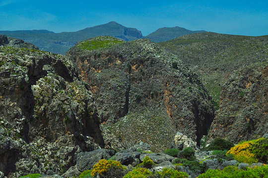 Zakros Gorge is full of flowers in springtime