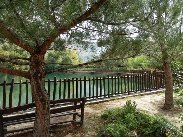 Zaros Lake with Pine Trees